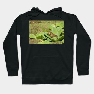 Green Dreams Hoodie